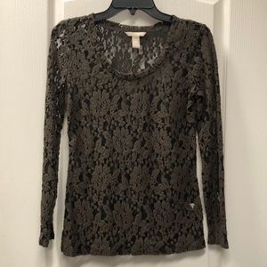 Banana Republic Brown Velour Lace Top XS